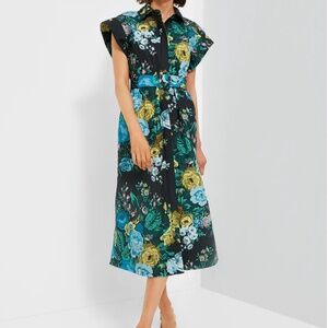 Tuckernuck Black Verdant Floral Chloe Dress, XL